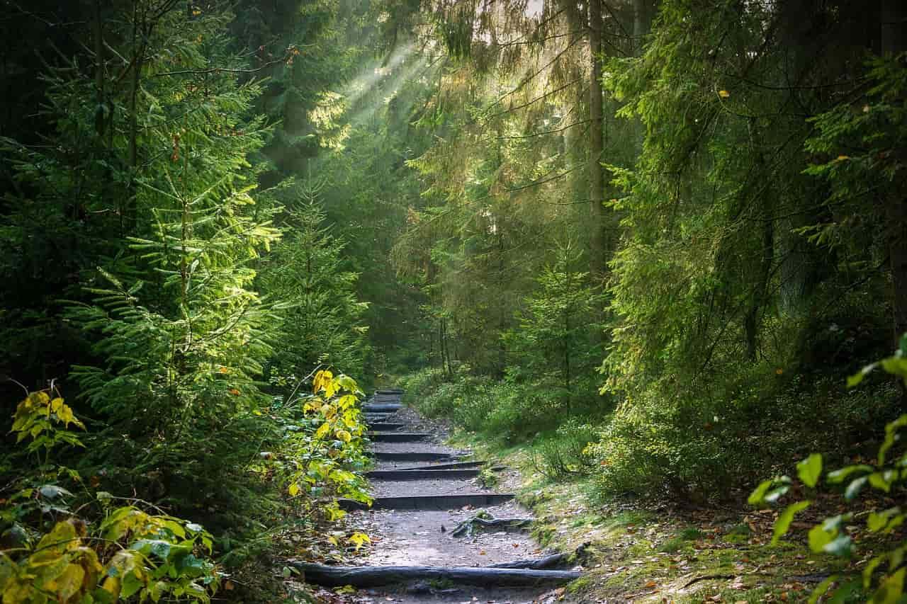 Appalachian