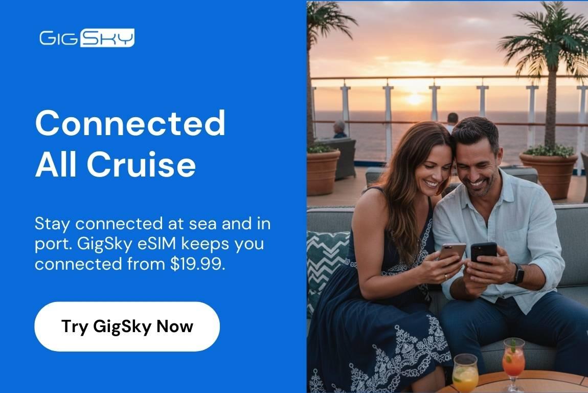 Cruise eSIM