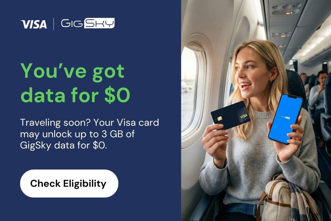 Visa esim
