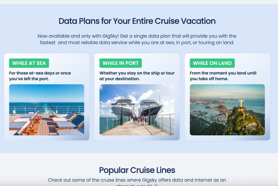 Cruise esim