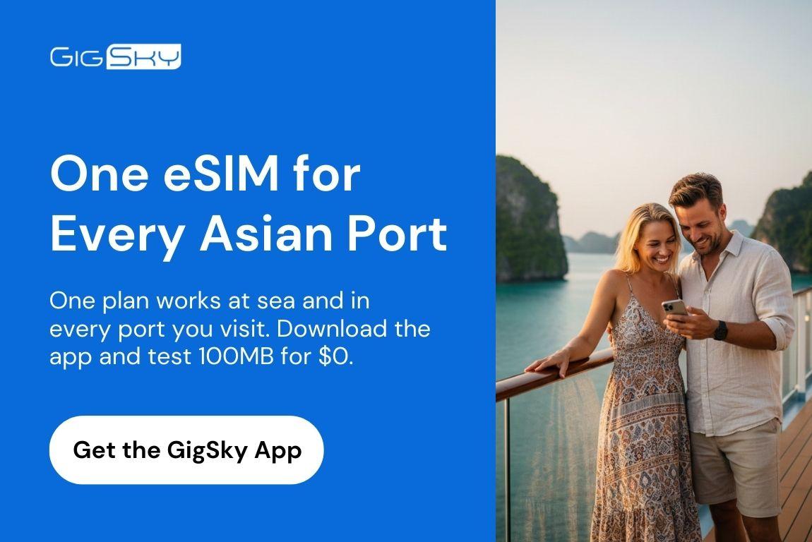 cruise esim