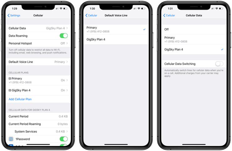 Apple Insider Reviews GigSky eSIM Service for iPhone XS, XS Max, XR