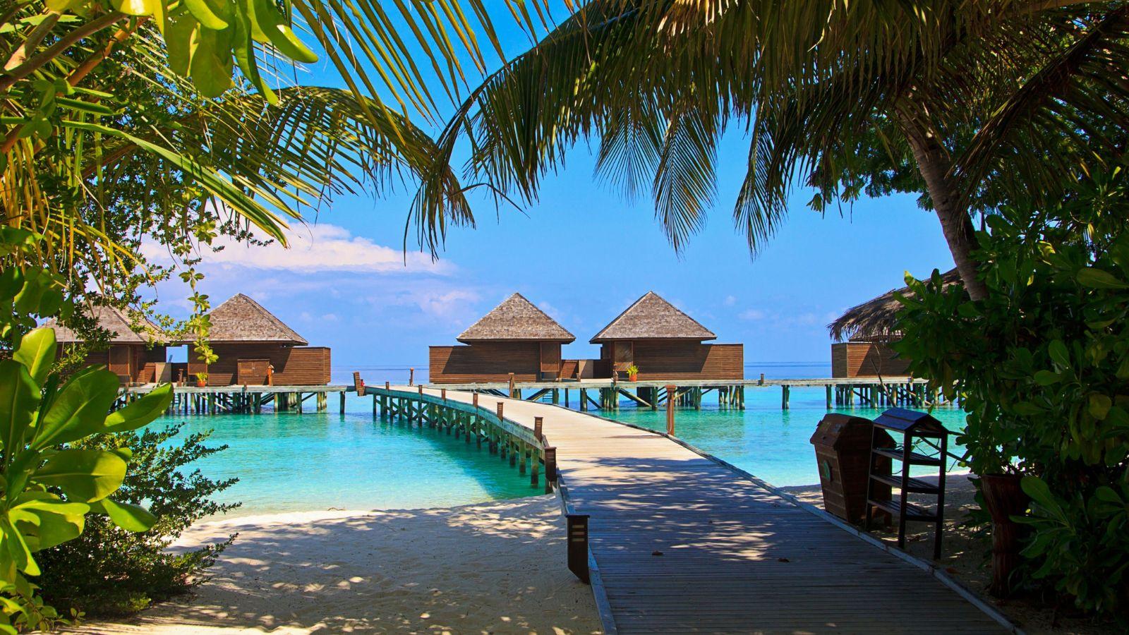 Top Destinations for Escaping the Cold This Winter - 2023 Edition
