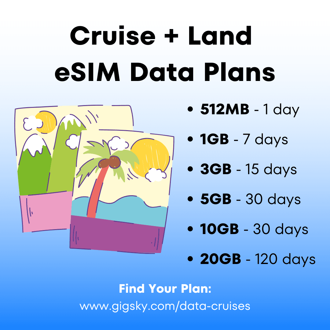 Cruise internet