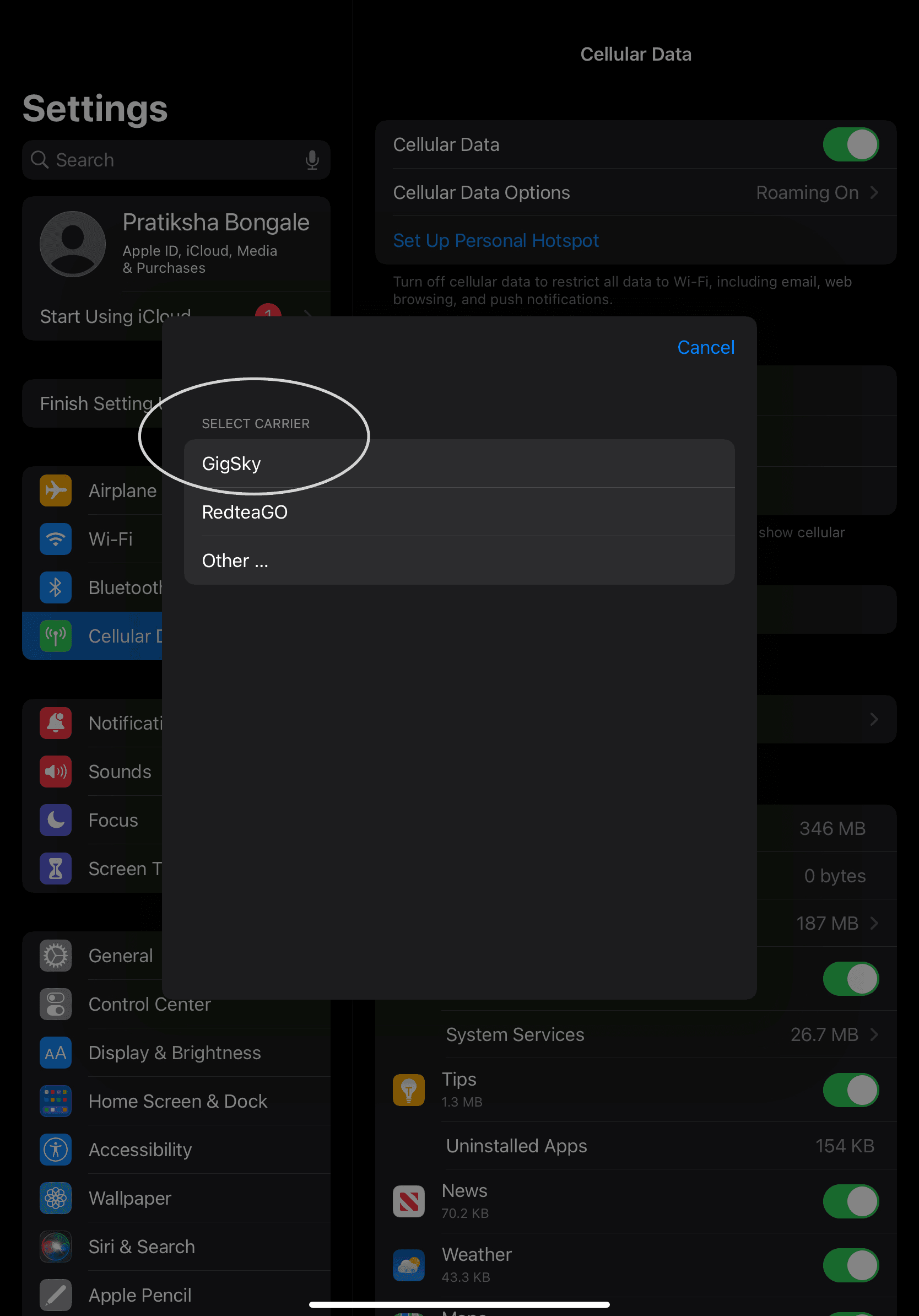 Everything You Need to Know About iPad
