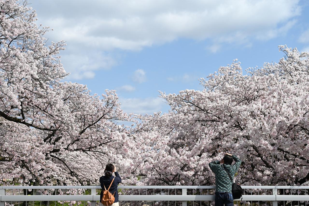Top 10 Destinations to Visit in March for Perfect Weather & Unique Experiences