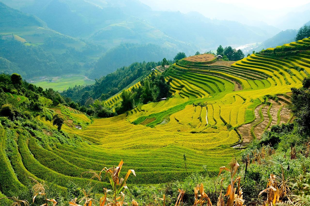 Asian Summer Vacation: A Comprehensive Packing Guide