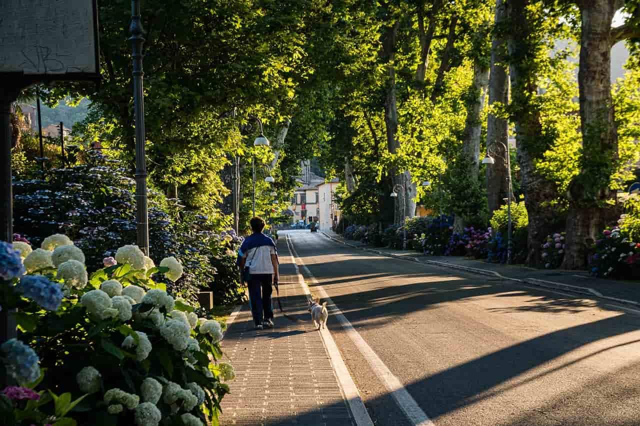 Exploring 3 Top Green Cities Across America