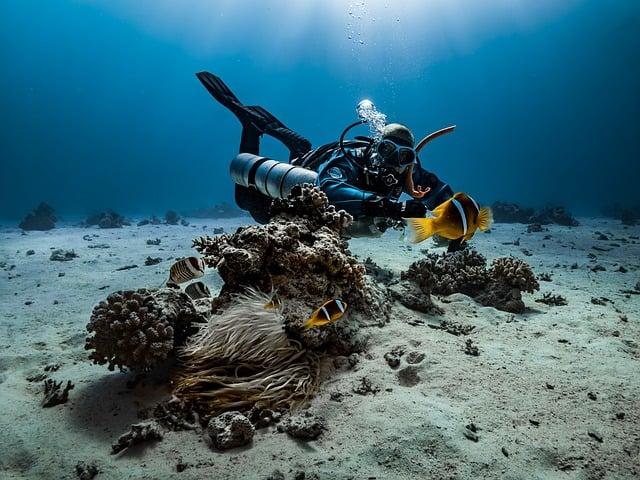Top 8 Scuba Diving Destinations Across the USA