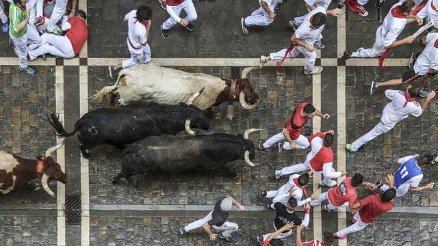 European Festivals You Can't Miss: The Top Events Every Tourist Should Attend