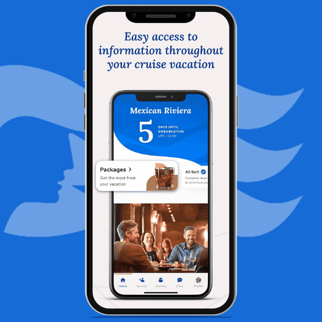 How to Get the Internet on Princess Cruises