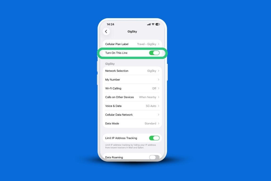 How to Check iPhone Data Consumption During Your International Trip