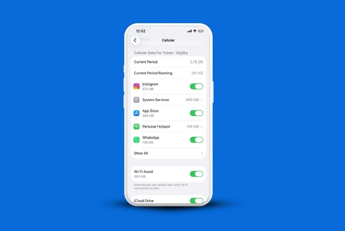 How to Check iPhone Data Consumption During Your International Trip